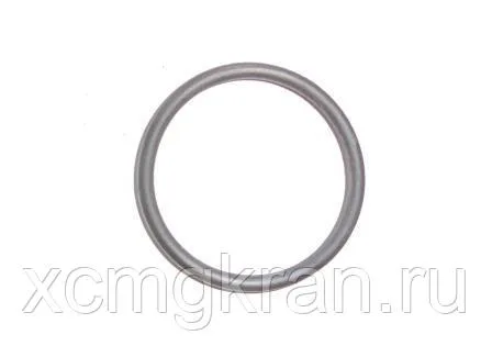 Кольцо гидромеханической коробки передач ZF - (7200001446 0634303233 0634.303.233)