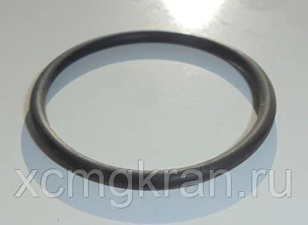 Кольцо гидромеханической коробки передач ZF - (7200001443 9634306525 9634.306.525)