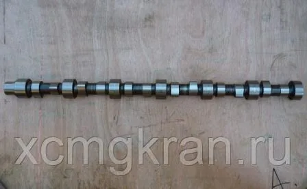 Распределительный вал двигателя Shangchai(D09-101-40+B)