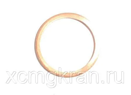 Шайба гидромеханической коробки передач ZF - (7200001662 0634801074 0634.801.074)