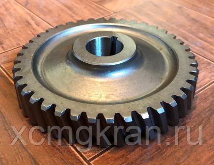 Шестерня двигателя Shangchai(C15AL-7W0507+A)