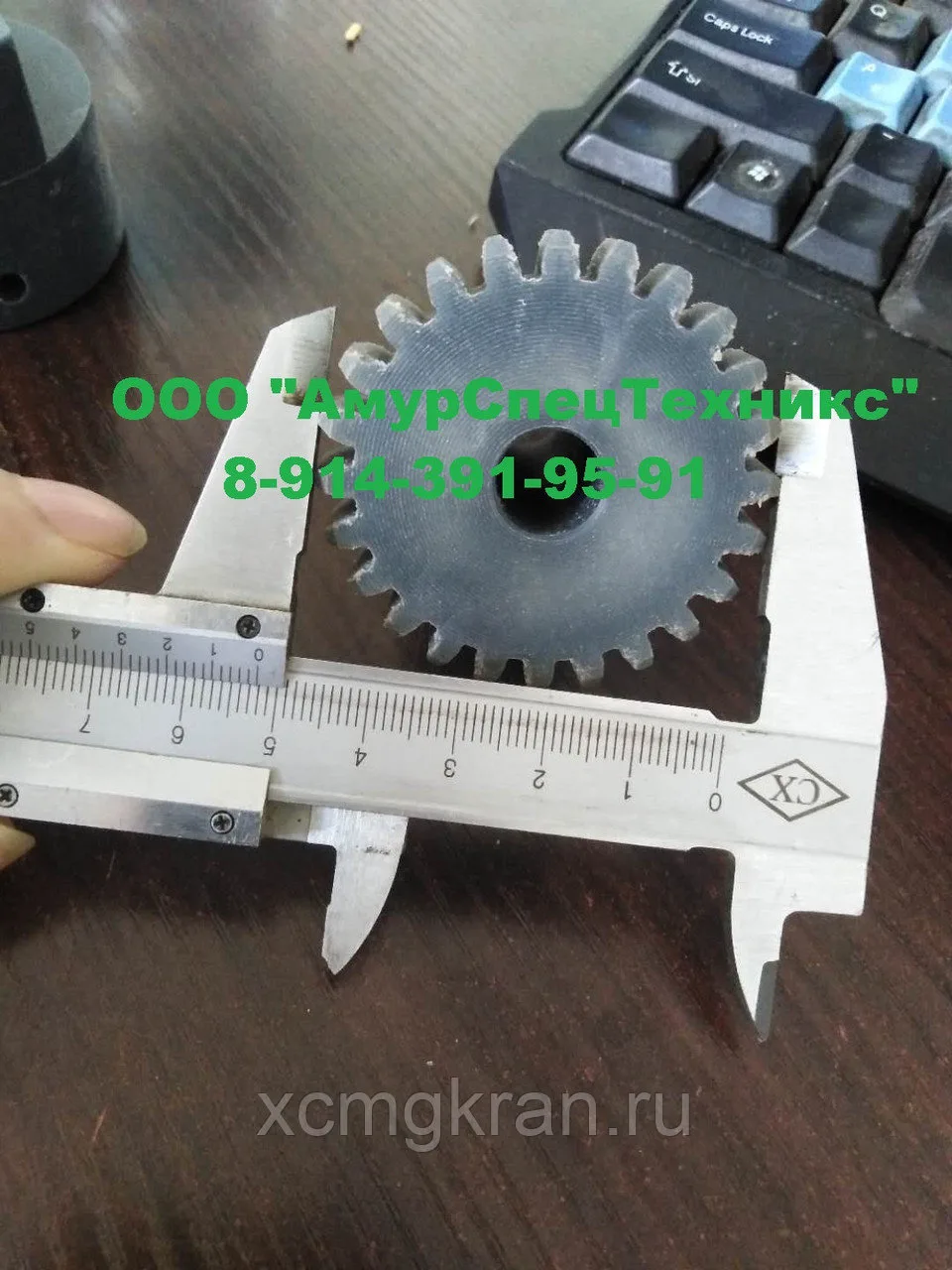 Шестерня 0029301D1900 — изображение 2